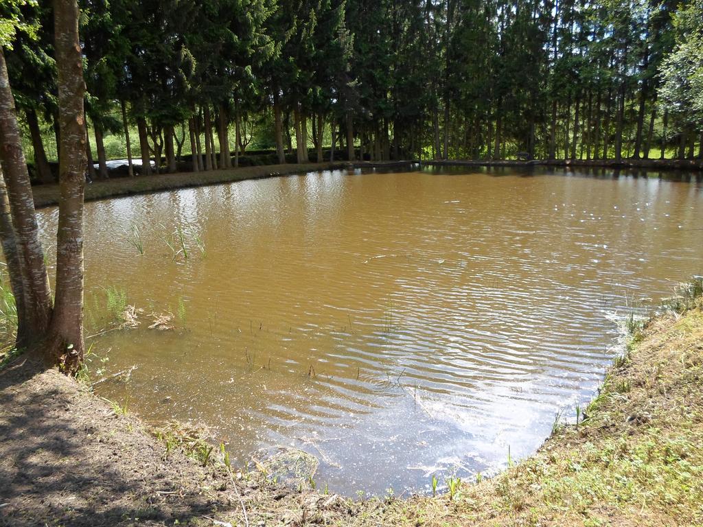 Camping Les Pinasses La Chapelle  Εξωτερικό φωτογραφία